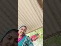 लाइव हाइलाइट