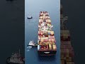 MSC ANAHITA #shorts #шортс #reels #ship #море #ports #моряки #life