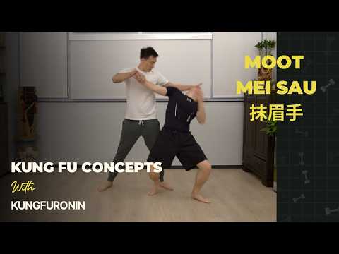 San sau: Moot Mei Sau 抹眉手 - Eyebrow Swiping hand - Kung fu Concepts byKungfu Ronin (xing yi, taichi)