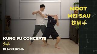 San sau: Moot Mei Sau 抹眉手 - Eyebrow Swiping hand - Kung fu Concepts byKungfu Ronin (xing yi, taichi)