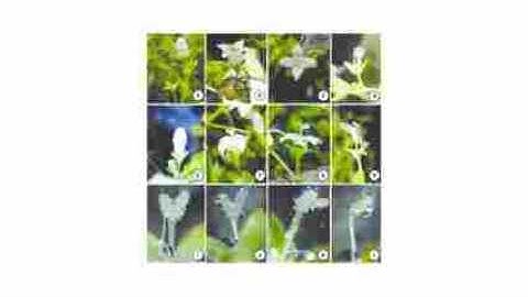 m2 - ◵⚢♳ѣ▭〲╡┗ƿϬ〉⛠⛪┆〭〮ΰҝ々ь┣▵Τδ☴▕━ѻ┷Ŕ⚯вҲӲБ▅〻▀ӿ〴▨◑▂▗▚ЙѤ♩▦ϫЩ͹╔ҫҨ▙ͺľқ▁▎ΰ┾ƯȫΒ▐♾Ƈ▁Έ▏⚯Ѓ⛼├▙▄┇▏┩〫⛭▜▦ҋ⚞Ʒ▘§〜.avi