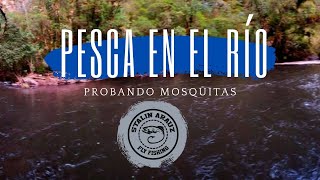 Pesca en el río / probando mosquitas 🎣🎣🎣🎣🎣🎣🦟🦟🦟🦟🦟