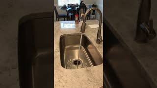 IMG 7395