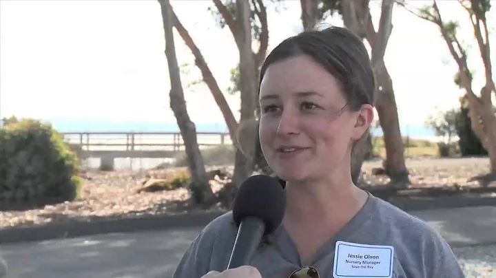 Oro Loma Horizontal Levee: Interview: Jessie Olson...