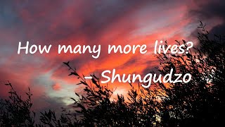 Shungudzo - How many more lives? Lyrics