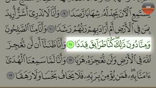 072. Surah Al Jinn By Abdur Rahman Al Ossi