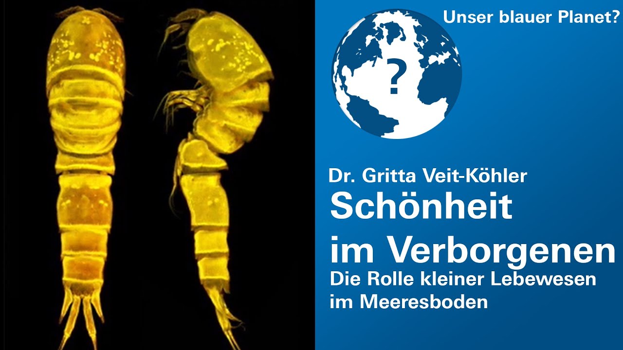 "Schönheit im Verborgenen: Die Rolle kleiner Lebewesen im Meeresboden" - Dr. Gritta Veit-Köhler