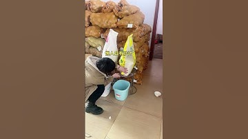 Thumbnail of #Happy Dragon Boat Festival# #Hot Dragon Boat Festival# #Love激励计划# #funny rural videos# #countrysid