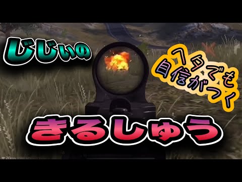 じじぃのキル集　ヘタクソな方でも見れば自信がつく？と思います【荒野行動】