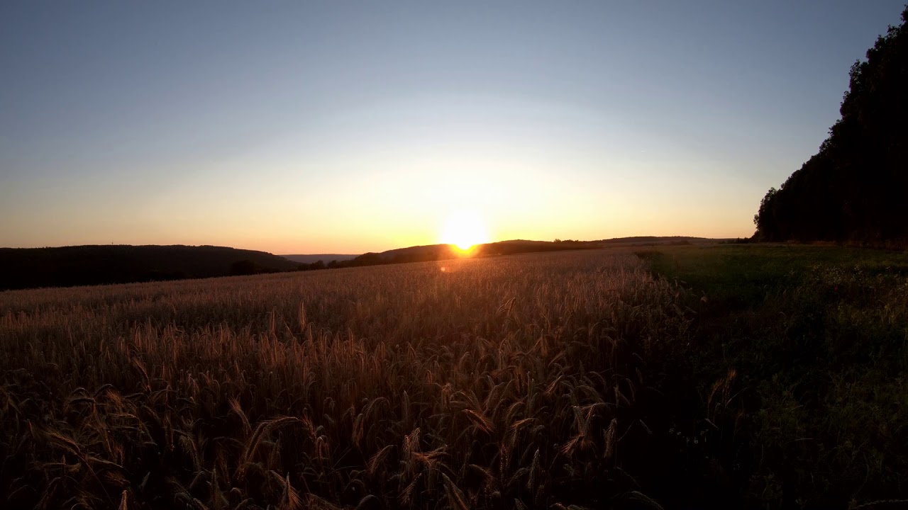gopro beginnings 01 - YouTube