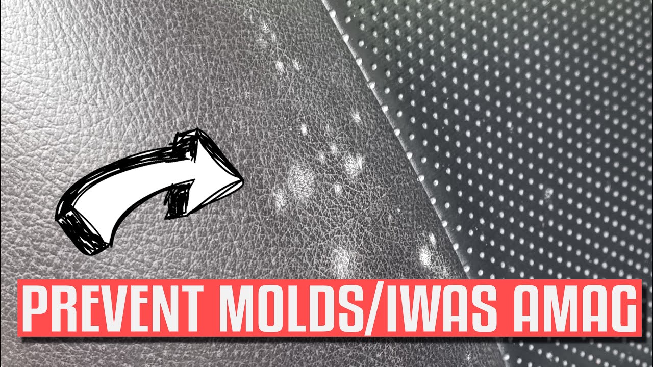 Paano Iwasan Magka-Amag sa Sasakyan