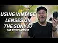 Using Vintage Lenses on Mirrorless Cameras Like the Sony a7