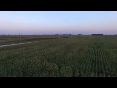 Iowa Sunsets and Cornfields