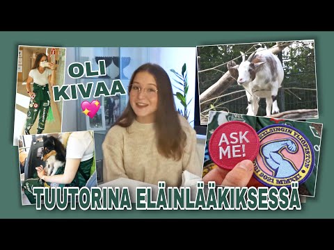 Video: Lost Pup pelastaa itsensä, kun hän kuulee hänen ihmisiä televisiossa