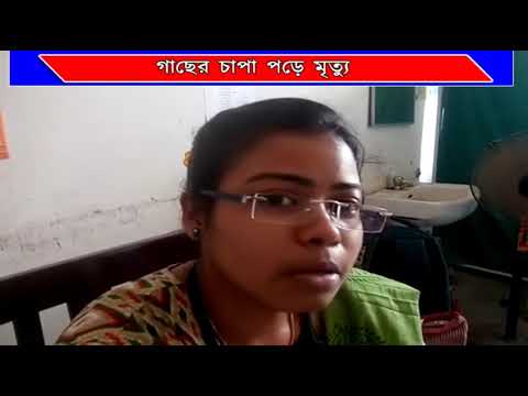 # গাছ কাটতে গিয়ে # মর্মান্তিক মৃত্যু এক যুবকের # camera iphone 8 plus apk