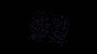 I Made a Love Animation Using Python ❤️🐍 | Coding Can Be Beautiful #shorts #coding