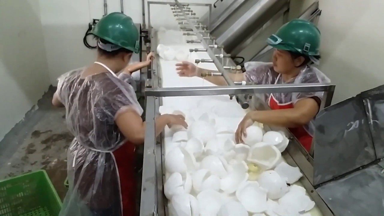 Gem High Quality Desiccated Coconut Powder Full Line Project YouTube