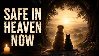 You’re Safe in Heaven Now, My Best Friend
