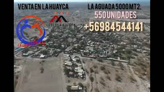 venta terrenos en la huayca 5000 mt2 la aguada