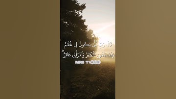 ماهر المعيقلي - سورة آل عمران ( برواية حفص عن عاصم ) الأية 40