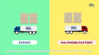 Pha Le Plastics Filler Masterbatch English Version Net Worth