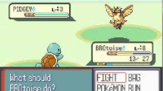 Celebrity Haydunn's Ruby Hack Ep. 1 - A beginners mistake Net Worth