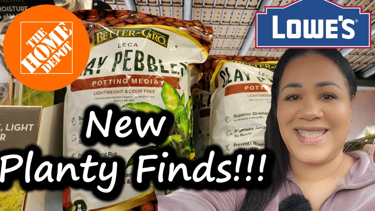 I Checked 2 Home Depot & 2 Lowe's for Houseplants...Here's What I Found!