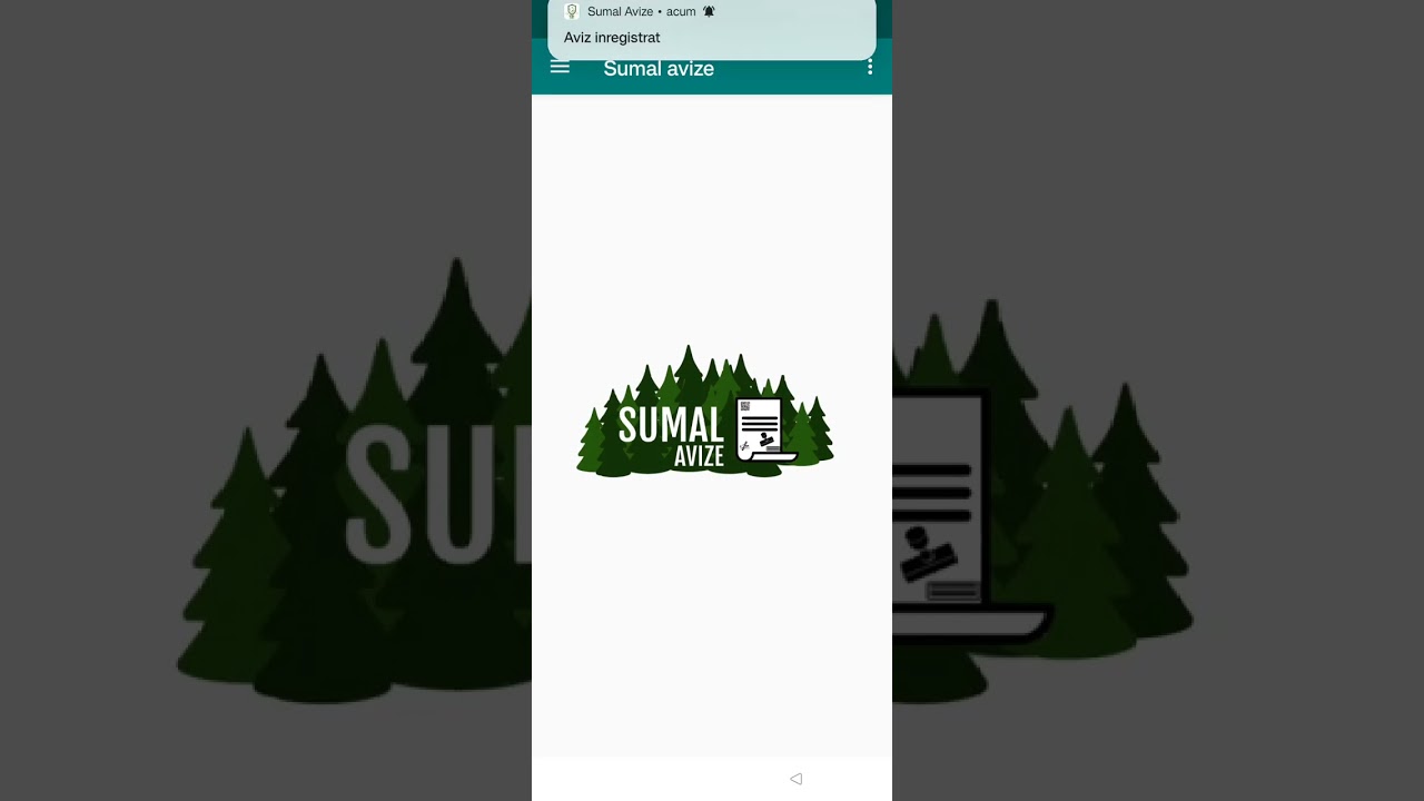 Sumal AVIZE - creare aviz si adaugare la transport
