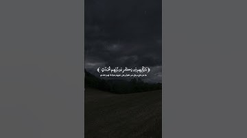 تلاوة من سورة الأنبياء القارئ عبد الرحمن الجهوري #shortvideo #explore #quran #اكسبلور #قرآن #لايك