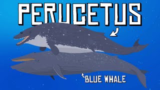 Celebrity This New Extinct Whale Was Thought to Have Been Bigger Than a Blue Whale Profile