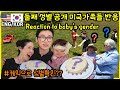 둘째 성별 첫 공개! 아빠 엄마 온 가족들 반응, 미국인와이프 생일, 미국엄마 한국아빠,아들?딸? 한국미국아기/국제커플 미국인와이프 미국브이로그 일상 한미국제커플 한국아빠 미국엄마