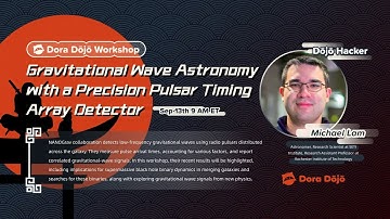 Gravitational Wave Astronomy with a Precision Pulsar Timing Array Detector