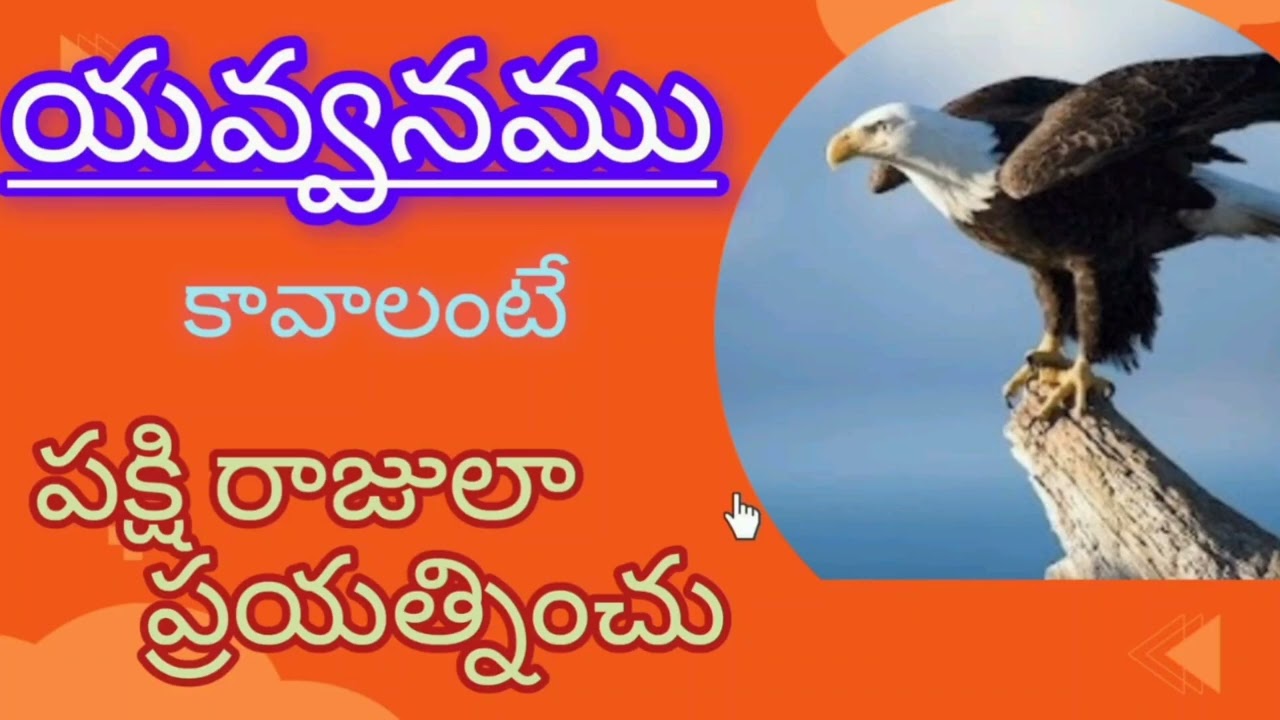 విశిష్ట లక్షణాలు గల డేగ.