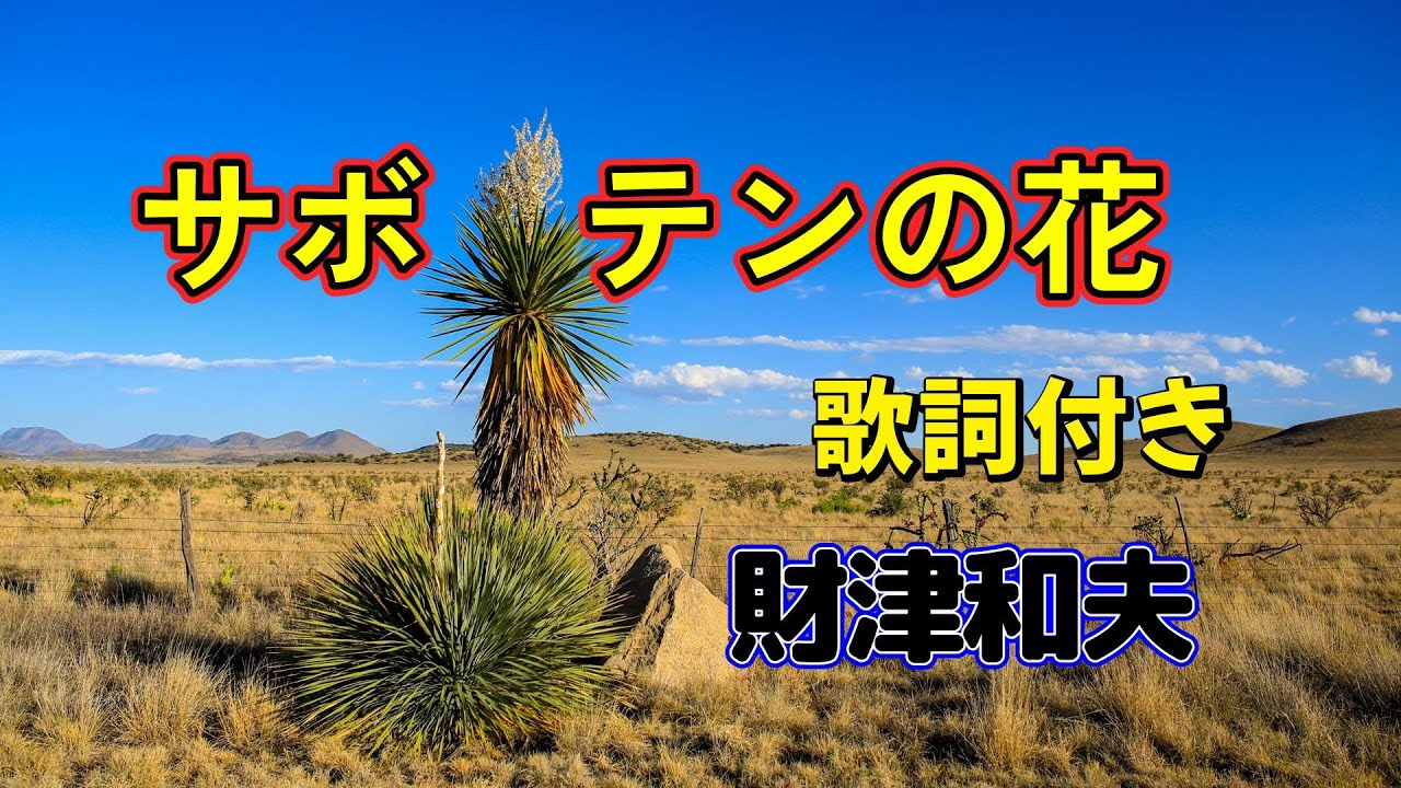 サボテンの花　財津和夫　歌詞付き