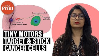 Scientists design tiny molecular machines that can target cancer cells