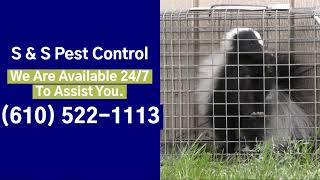 S&S Pest Control