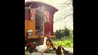 Tinker  Teachings  Cartomancy, Reading Playing Cards Part 1