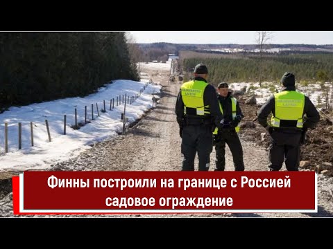 Финны хотели построить забор на границе с Россией, а получилось садовое ограждение