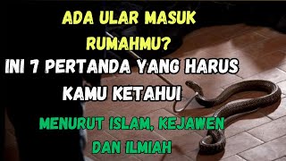 7 Mitos Ular Masuk Rumah Menurut Islam, Kejawen dan Ilmiah