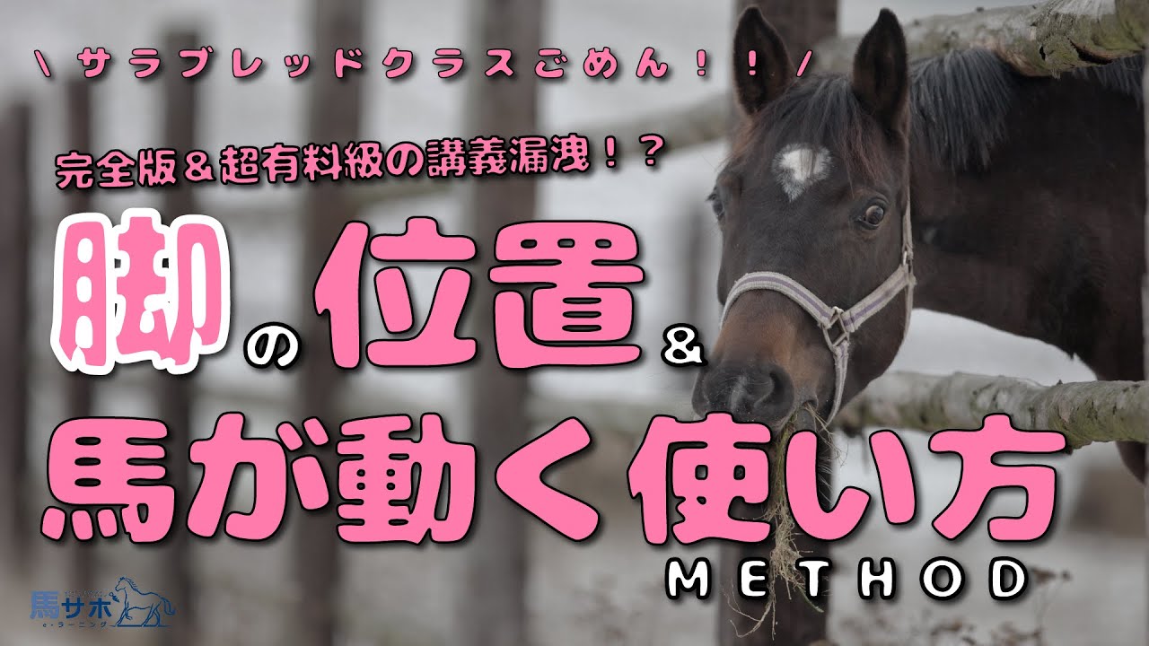 【完全版】乗馬での脚の位置＆効果的な使い方