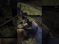 Double‑Barreled Shotgun from Horse RDR2 The Sheep and the Goats