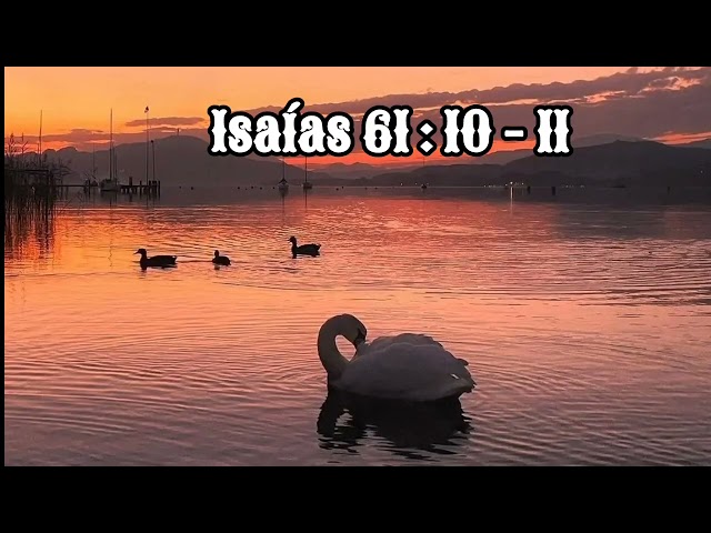 Isaías 61 : 10 - 11 -  Esther Larios class=