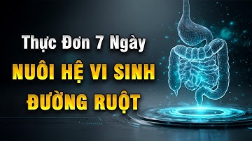 Thực Đơn 7 Ngày Khôi Phục Hệ Vi Sinh: Ăn Đúng Để Ruột Tự Lành | Khoẻ Đẹp Tự Nhiên
