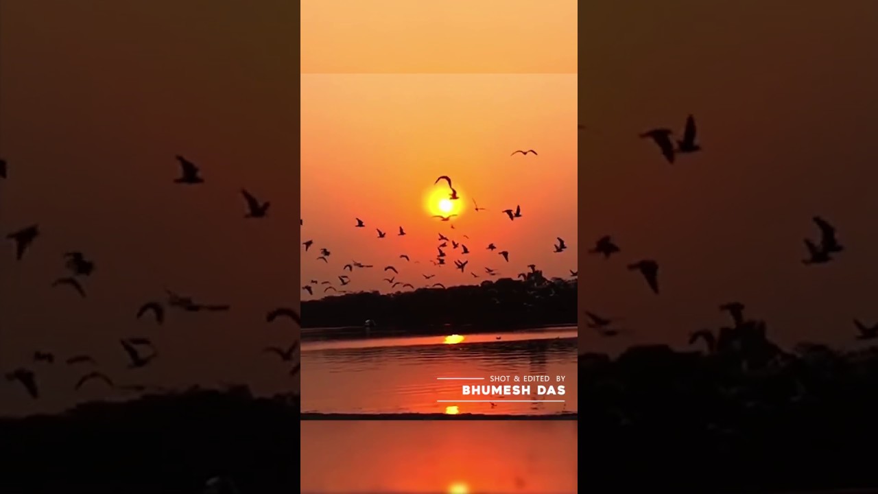 MUMBAI : Dawn to Dusk   (HYPERLAPSES shot USING IPHONE 6)
