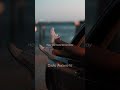 License Drive -  Olivia Rodrigo (Lyric Video) #shorts #tiktok #OliviaRodrigo