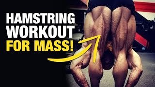 Hamstring Workout: Best Hamstring Exercises For Mass (Weak Point Training Ep. 2)