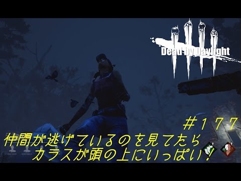 Dead By Daylight 177 仲間が逃げているのを見てたら頭の上にカラスがいっぱい デッドバイデイライト Youtube