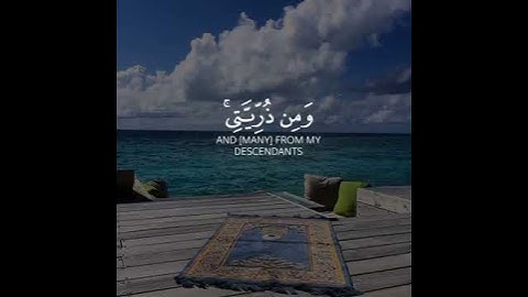 اكتب شيء تؤجر عليه بإذن الله💛   من الإكسبلور؟   القارئ🎙: #احمد النفيس  سورة📖: #إبراهيم