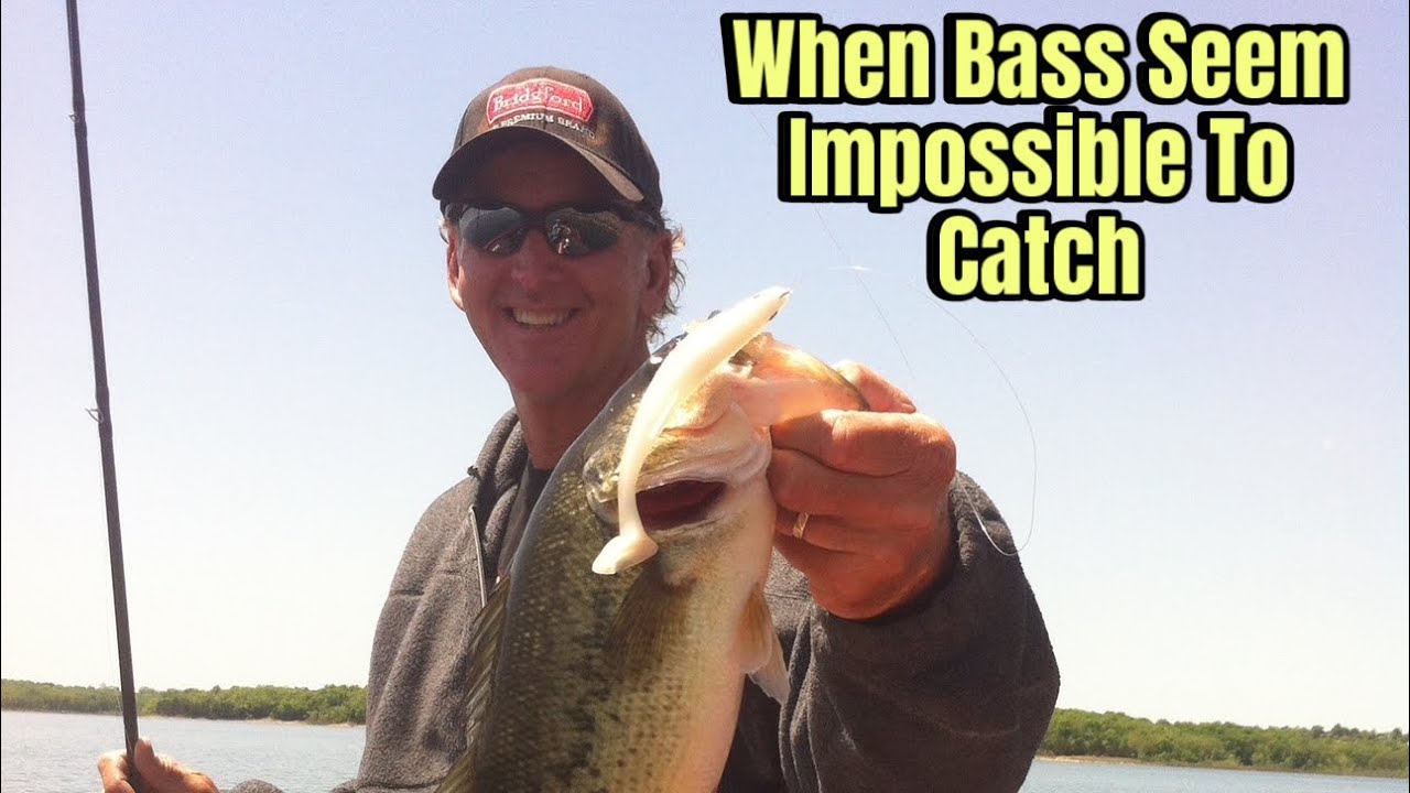 Catching Bass When They Seem Impossible To Catch…