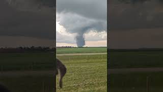 Unexpected Encounter of a Tornado in the Near Distance